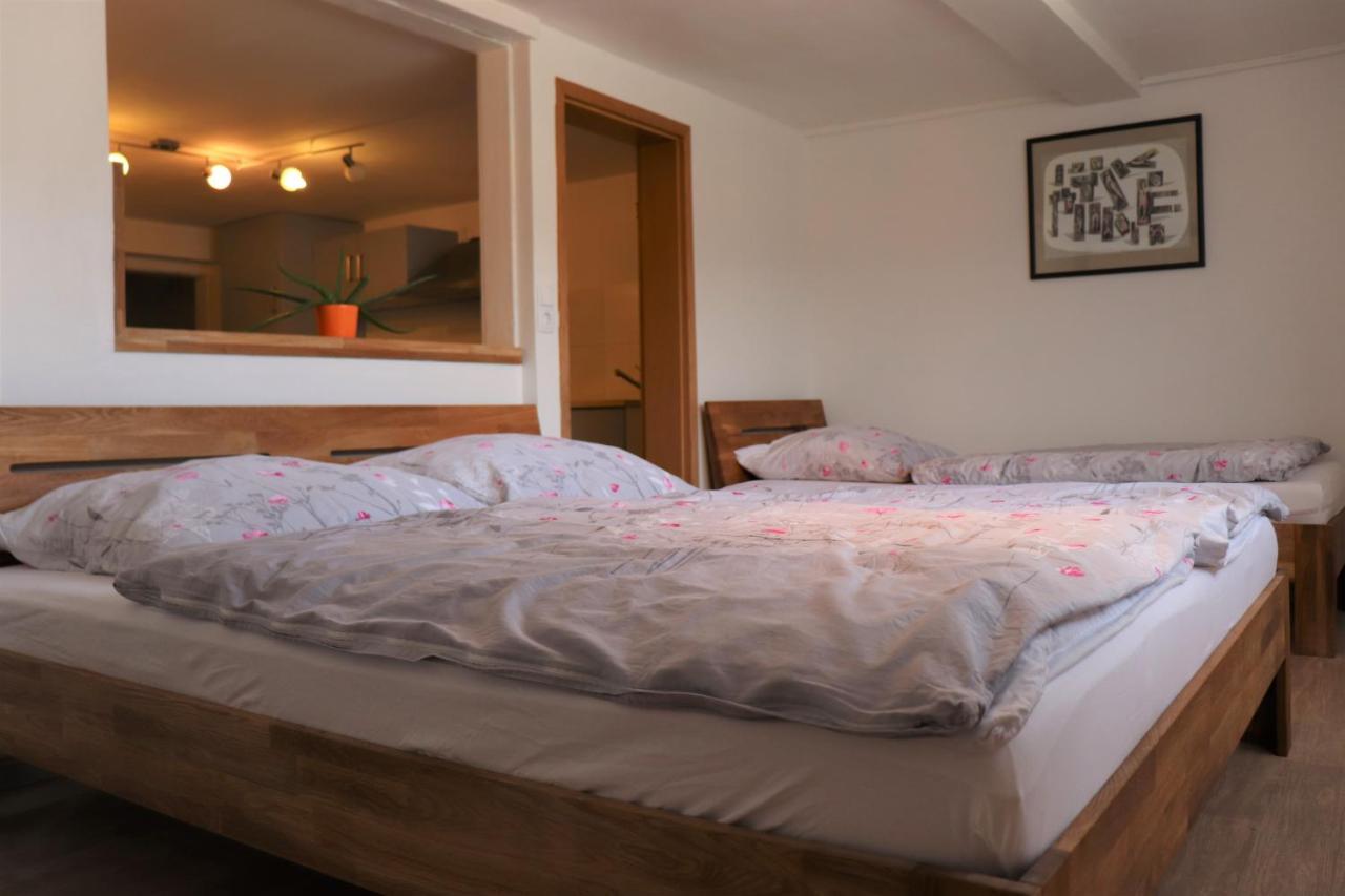 Apartment Schwarzwaldhaus Kathi