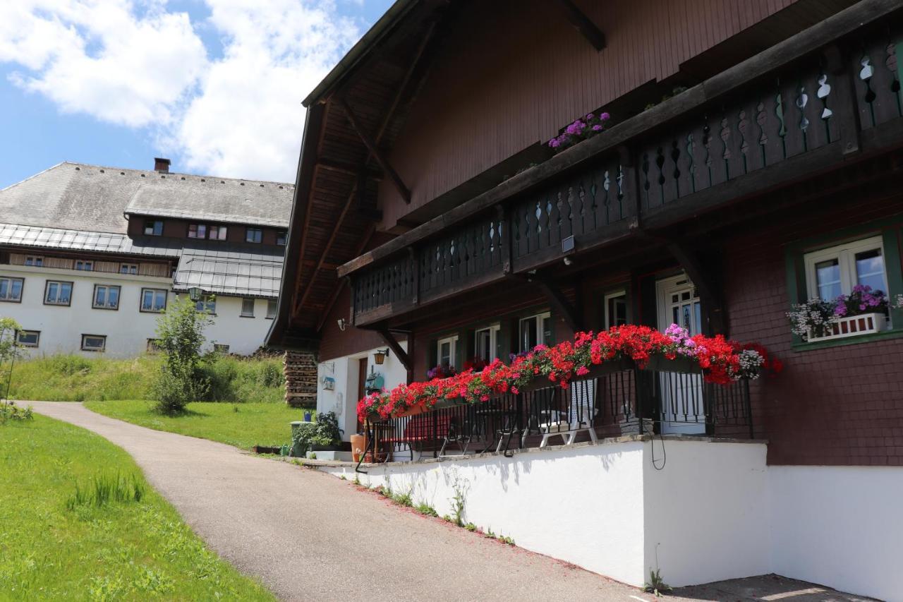 Apartment Schwarzwaldhaus Kathi *