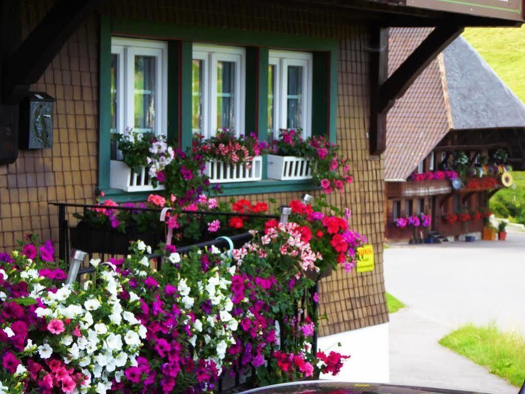 Apartment Schwarzwaldhaus Kathi *