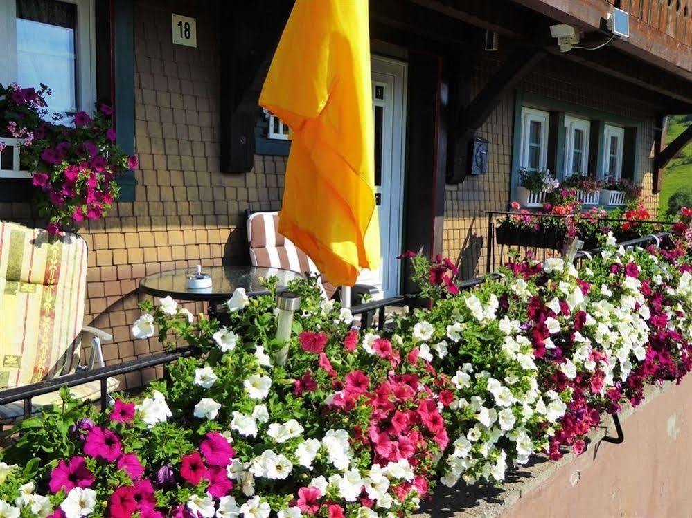 Schwarzwaldhaus Kathi Апартаменты *