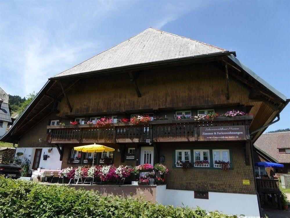 Schwarzwaldhaus Kathi Apartment Todtmoos